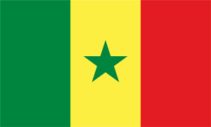 エチオピアの国旗 アフリカ 世界の国旗 デザインから世界を学ぼう